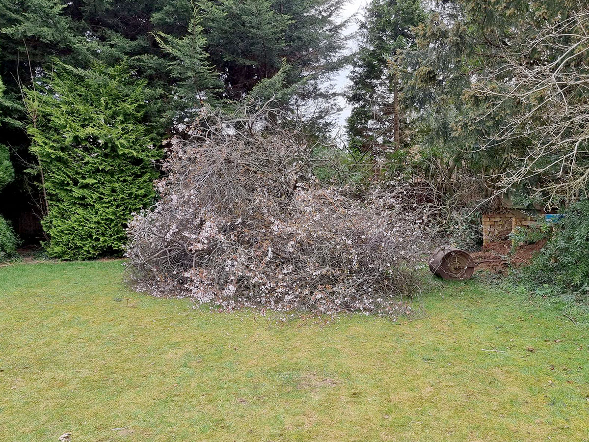 pile of garden waste