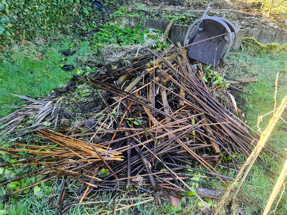 pile of garden waste